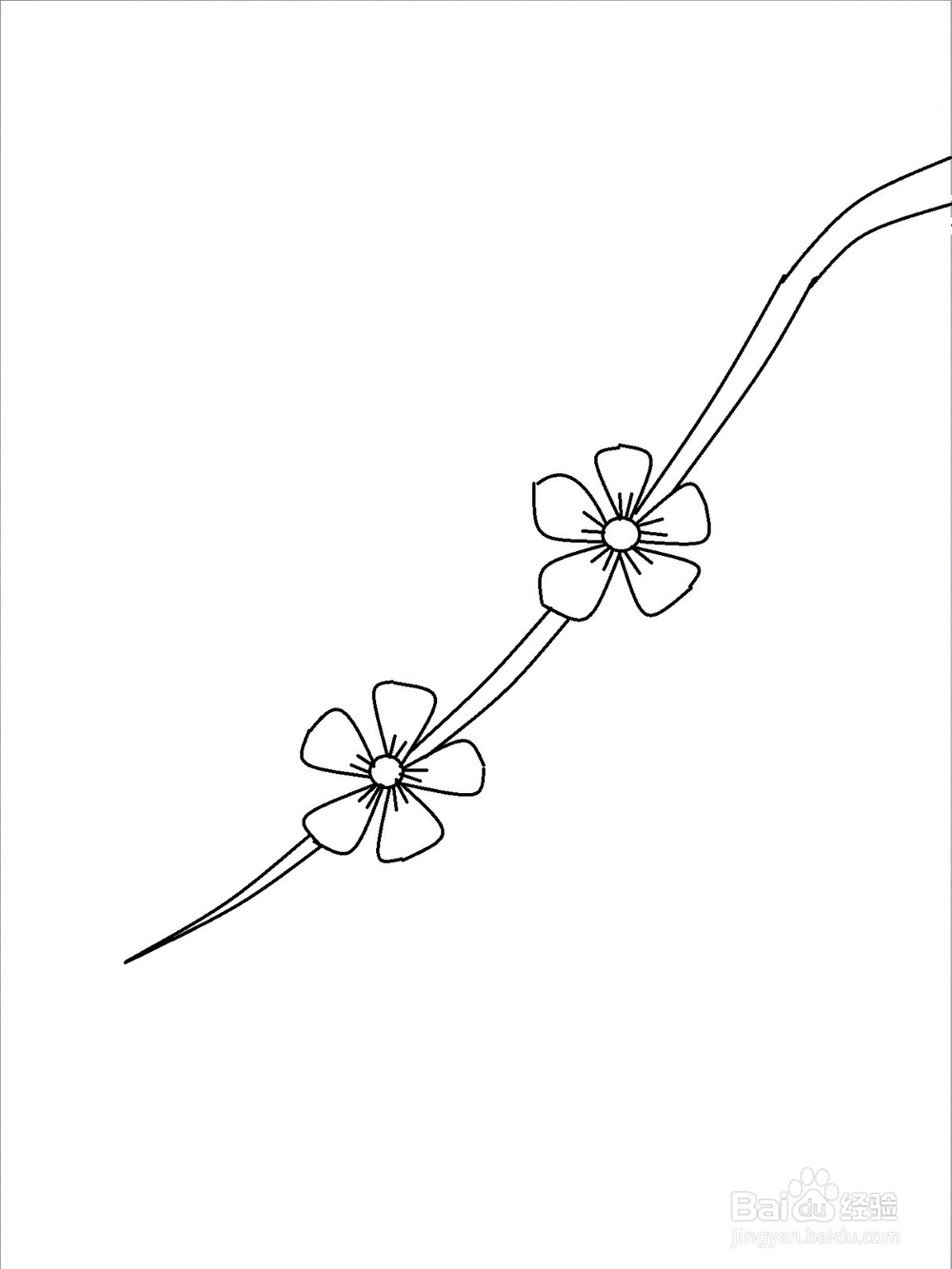 春天桃花的画法