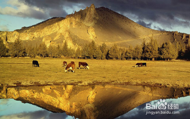 在国外旅游应注意的自身安全