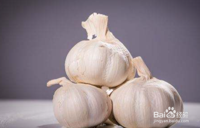 蒜头怎么保存才不会坏
