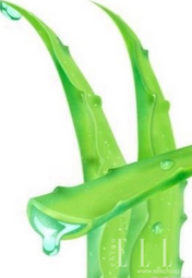 冬季美白方法：[1]女人美白小窝