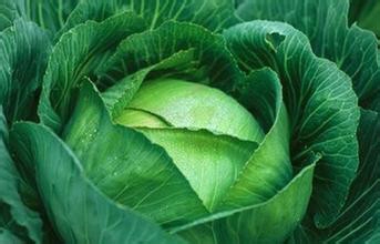 高血压患者平时饮食该注意什么