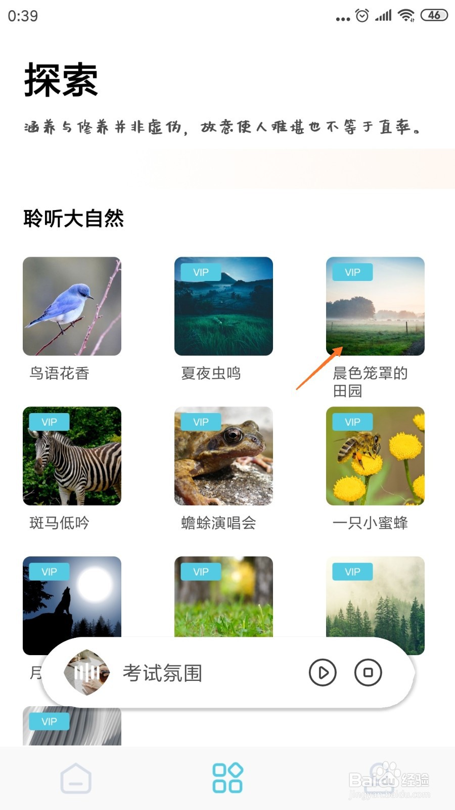 潮汐白噪音中如何查看晨色笼罩的田园