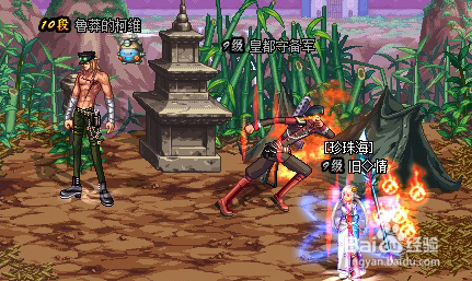 鲁莽的柯维在哪里