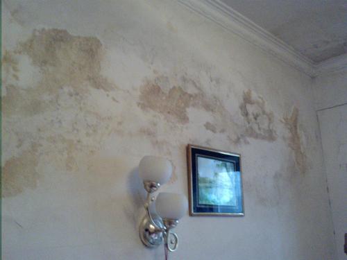 白墙上的茶水印渍怎么去除！