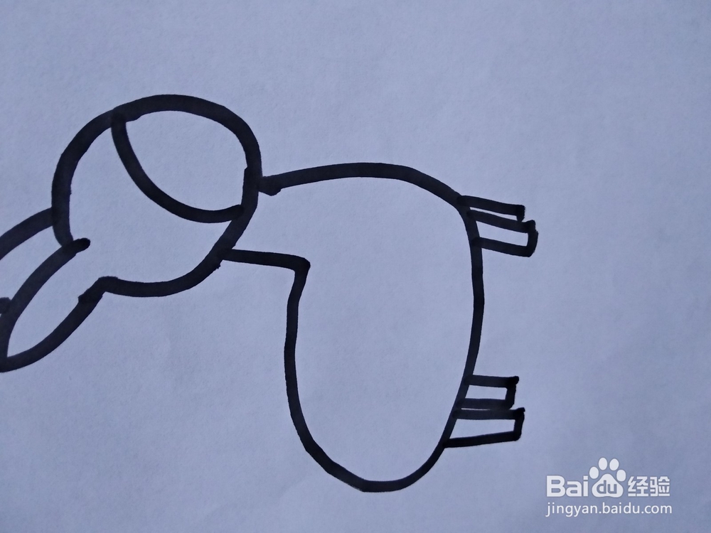 小毛驴简笔画怎么画