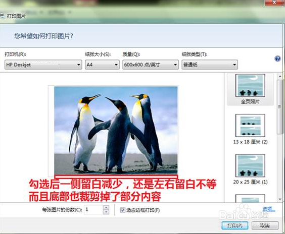 HP DeskJet 2678 照片打印一半