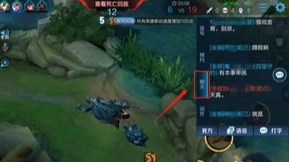 王者怎么查看对局完的聊天记录