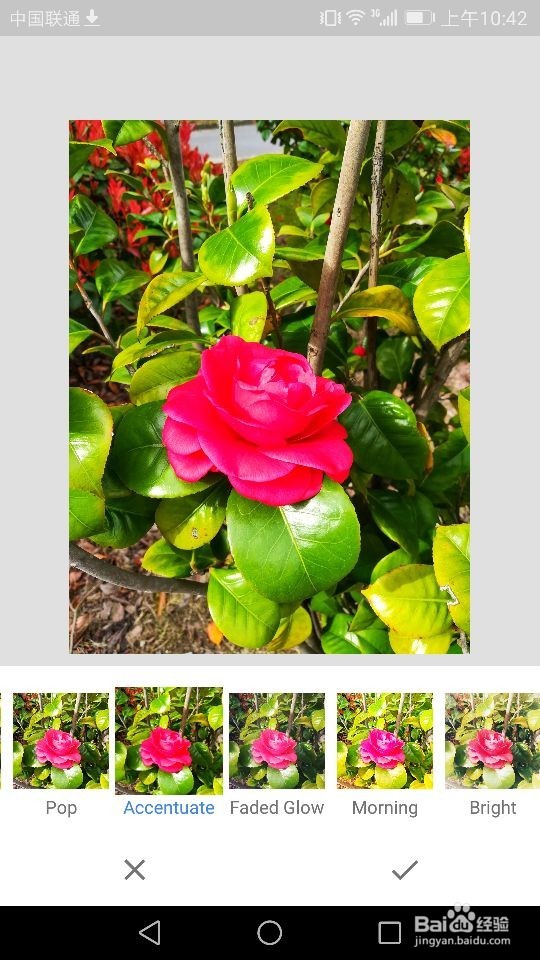 Snapseed软件如何进行照片样式的选择