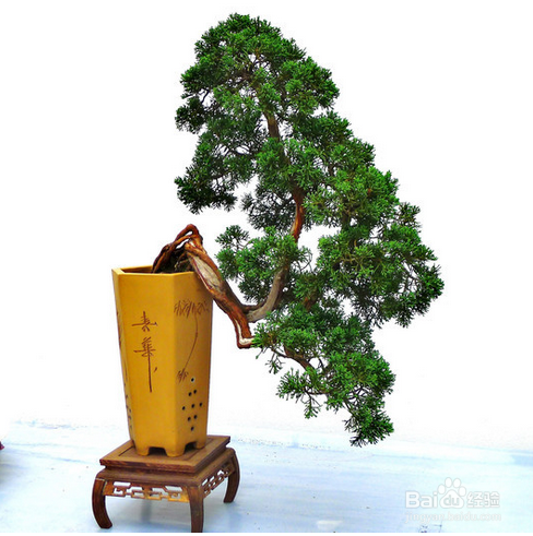 个人修养六字诀