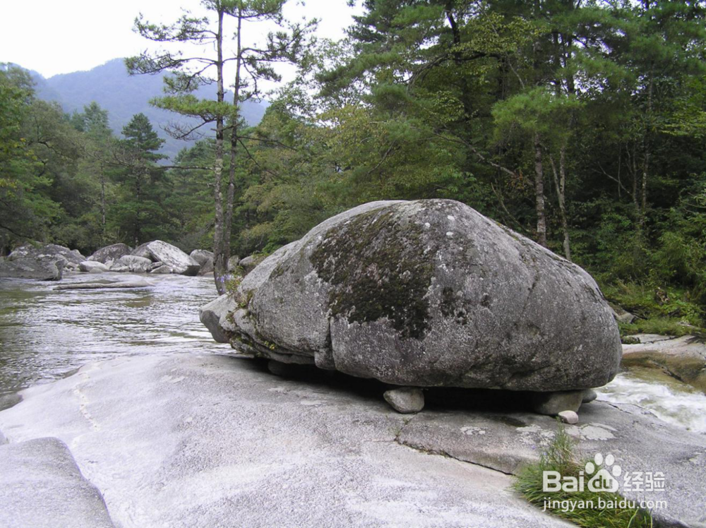 陕西云雾山景区游览攻略