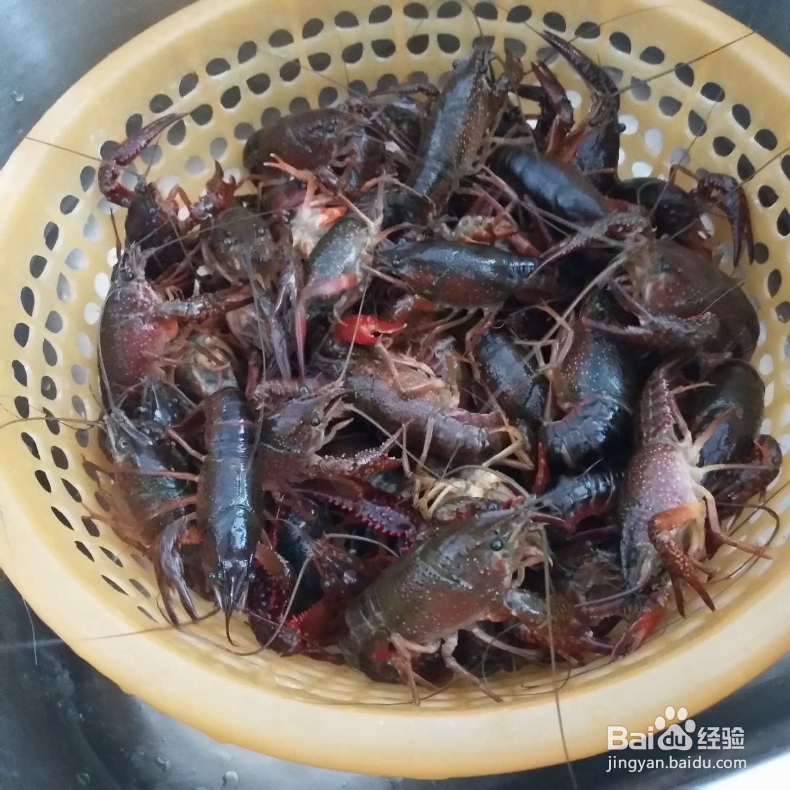 小龙虾的家常做法