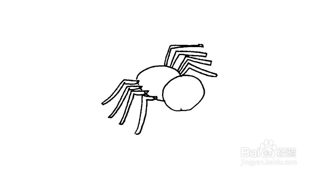 蜘蛛简笔画画法教程