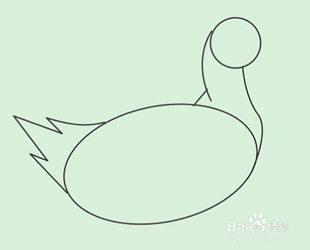 怎样画鸭子如何画白鸭子铅笔画