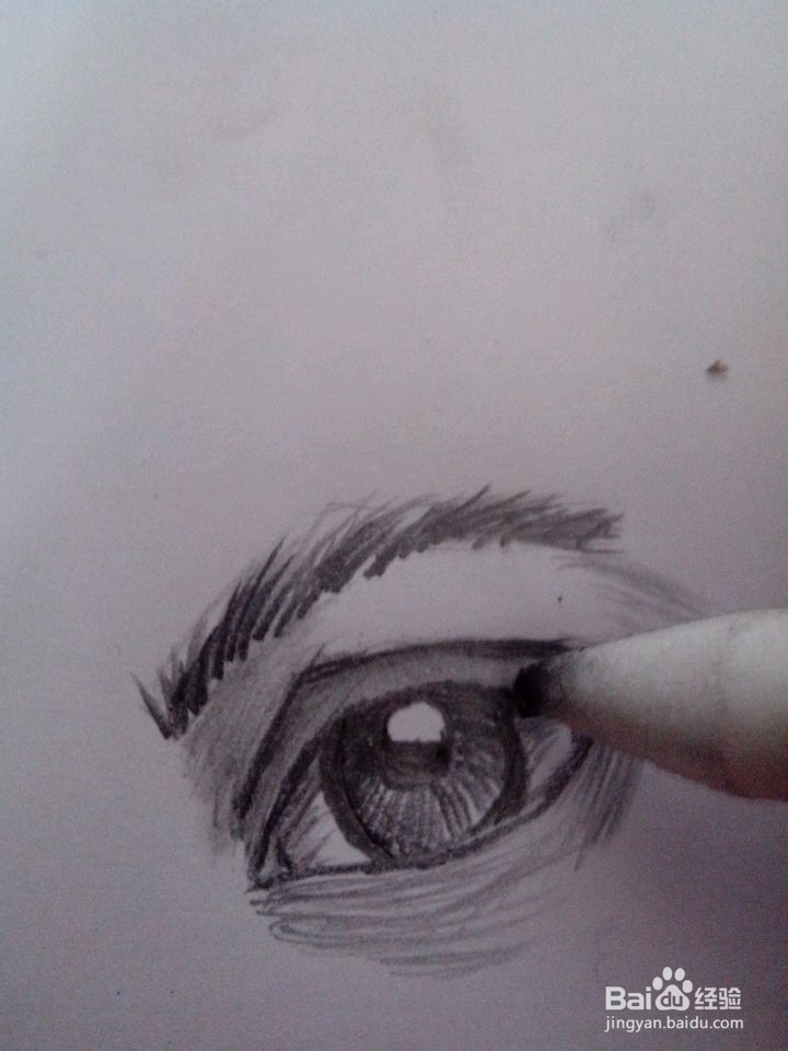 眼睛的素描快速绘画