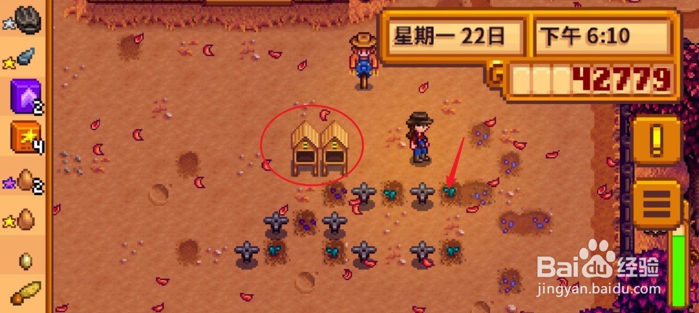 星露谷物语蜂房怎么用