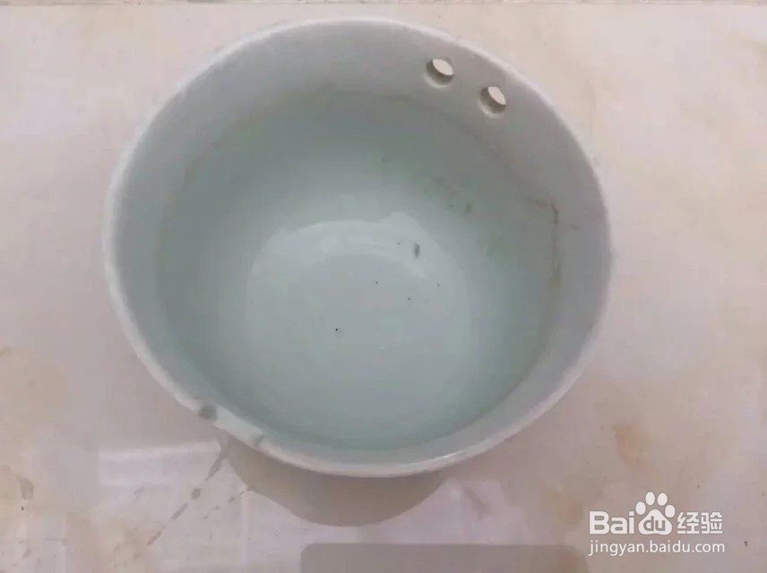 睡莲的盆栽方法