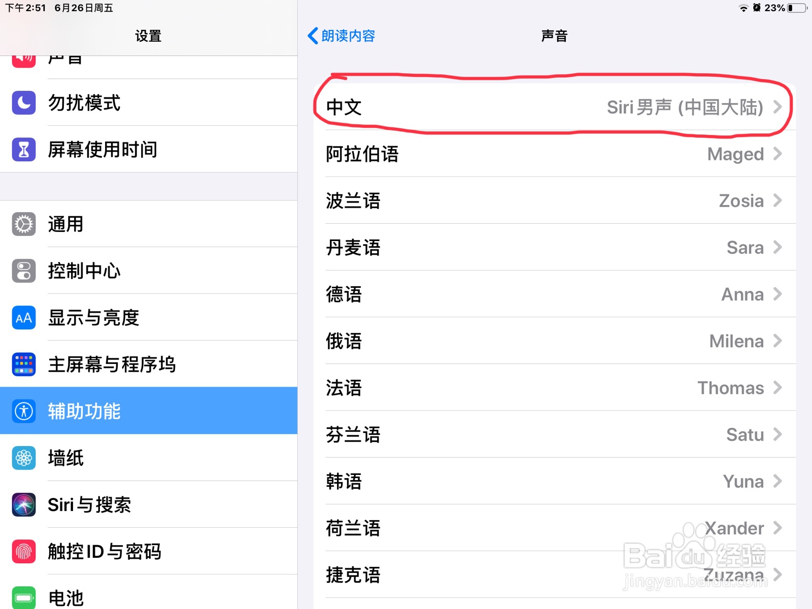 iPad怎么调节朗读声音