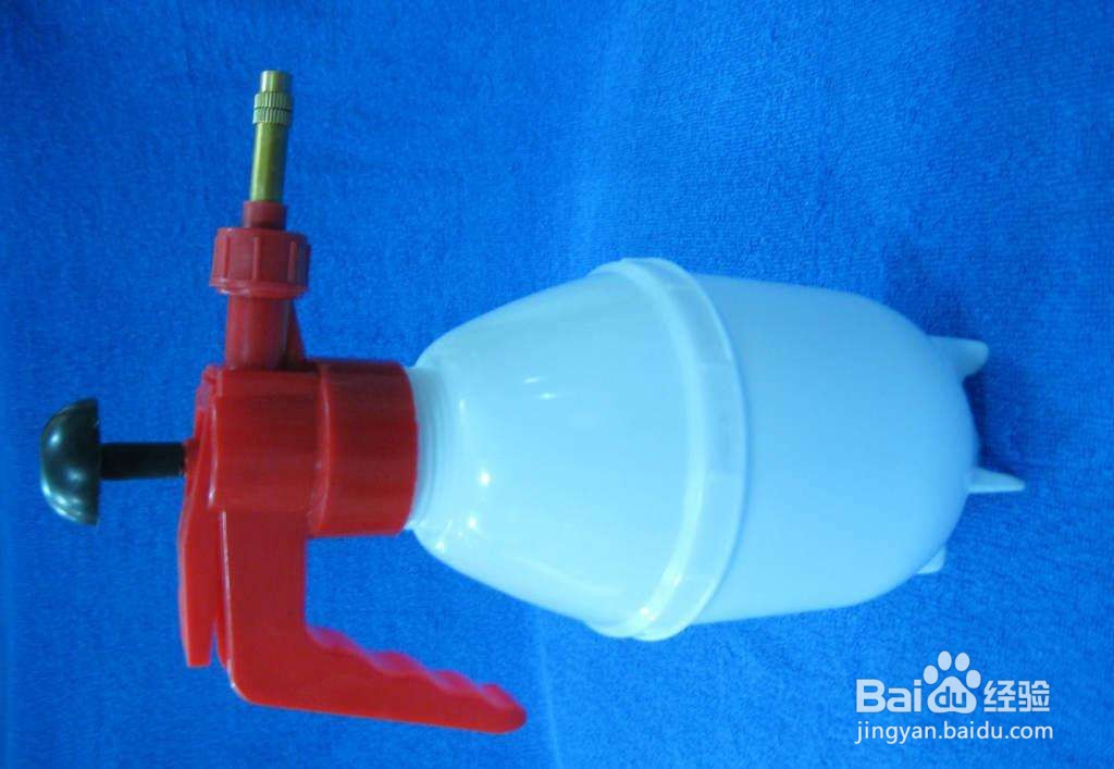 怎么制止猫咪玩水？