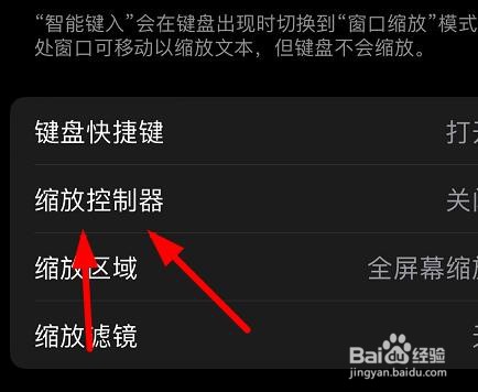 iPhone13如何设置缩放的控制器