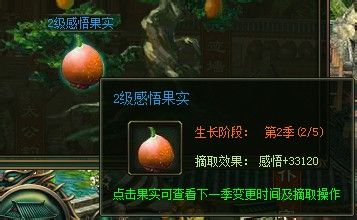 6711大侠传感悟值获取攻略