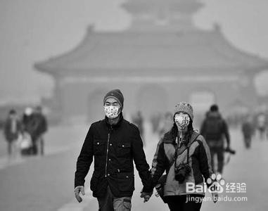 雾天出行该注意什么