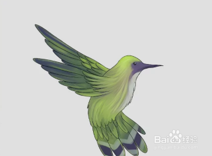 如何画蜂鸟