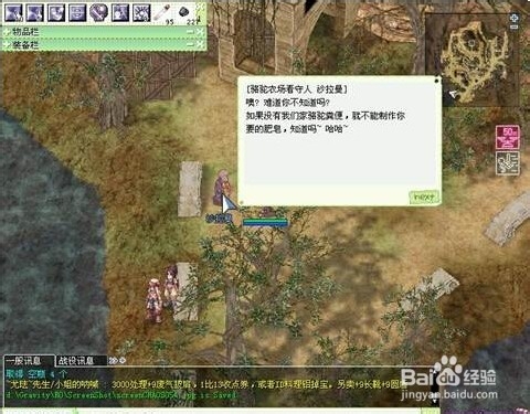 仙境传说(RO)伯仁斯兄妹任务(三)