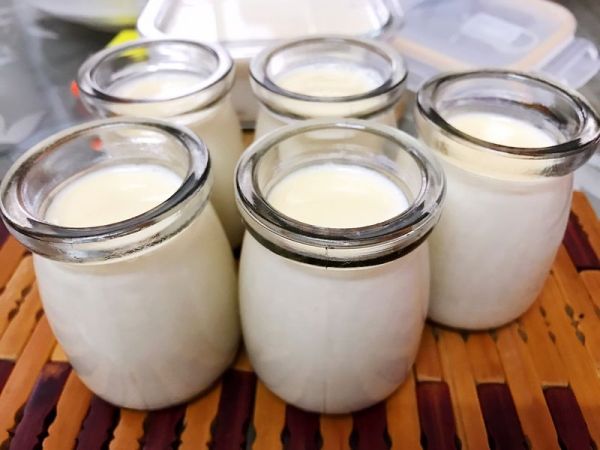 红枣枸杞花胶奶冻