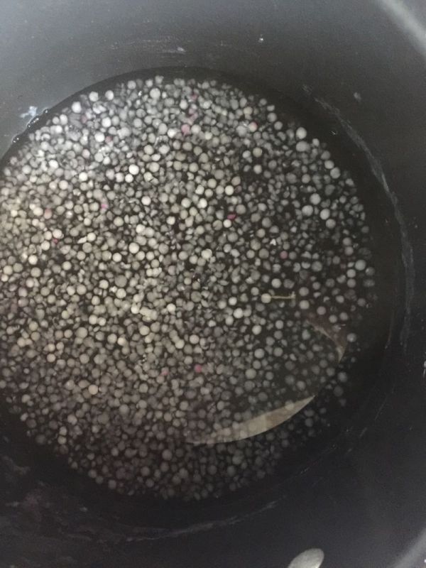 红豆西米椰奶冻