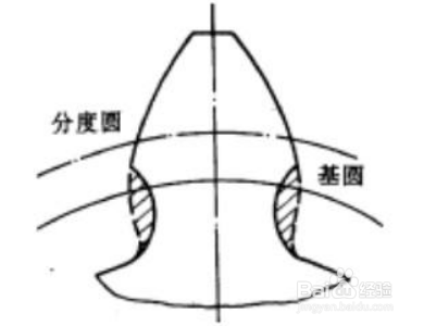 根切现象是如何产生的？