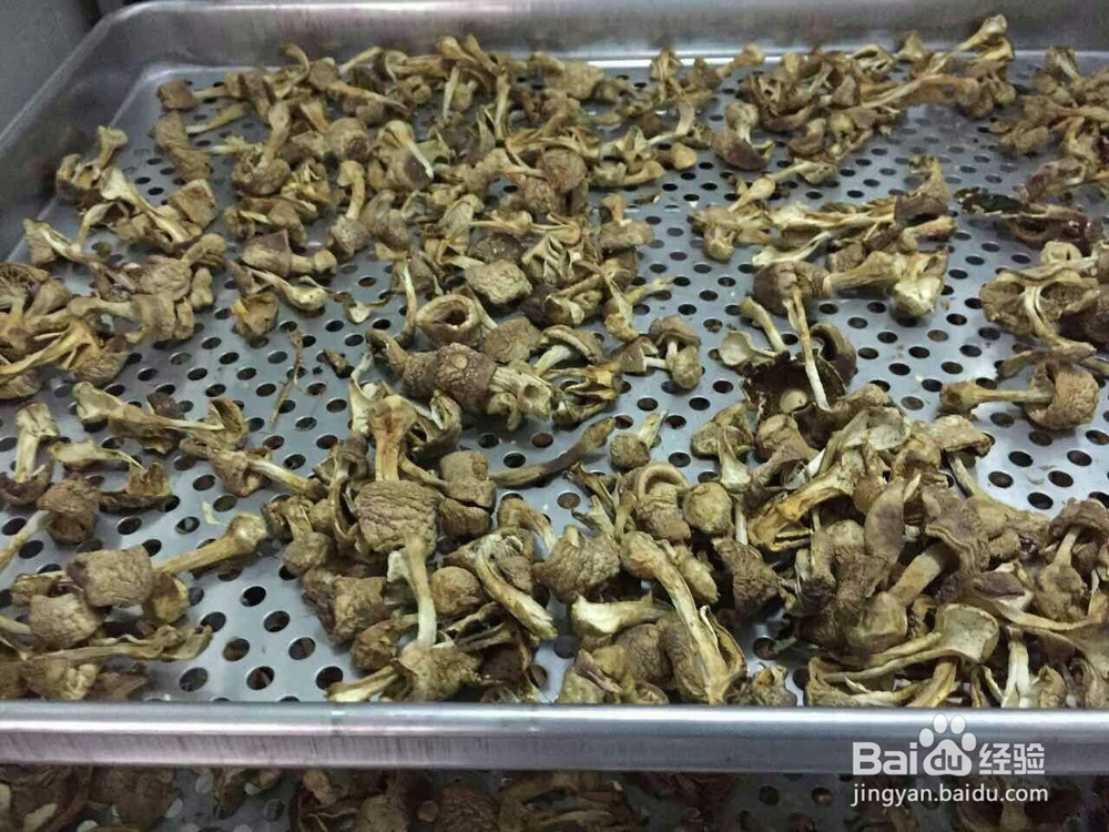 空气源高温热泵烘干机应用在香菇烘干的工艺流程