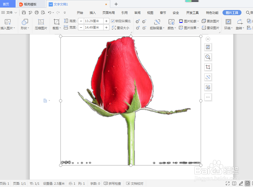 如何在WPS文档中插入图片及去除图片的背景
