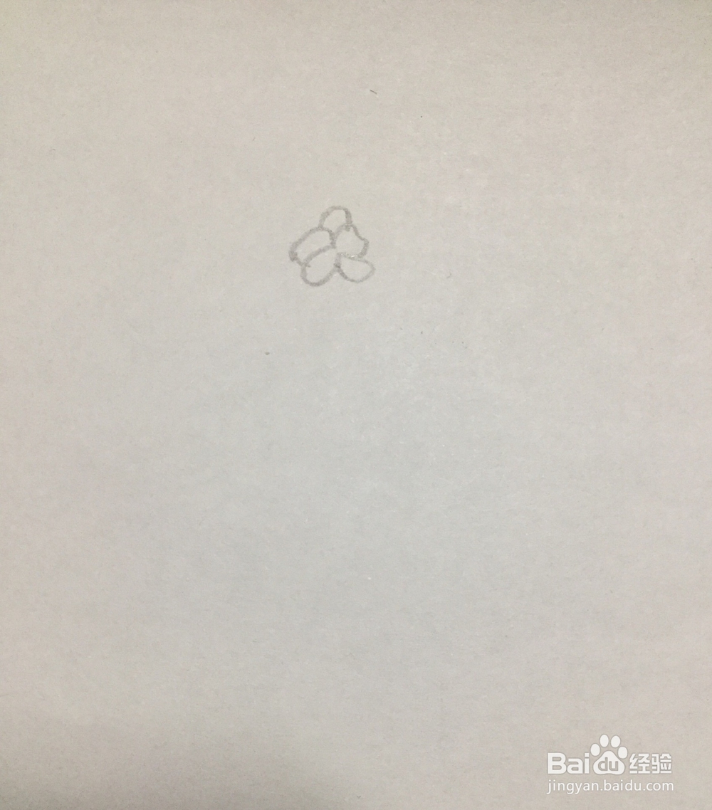 怎么画三聿花的简笔画