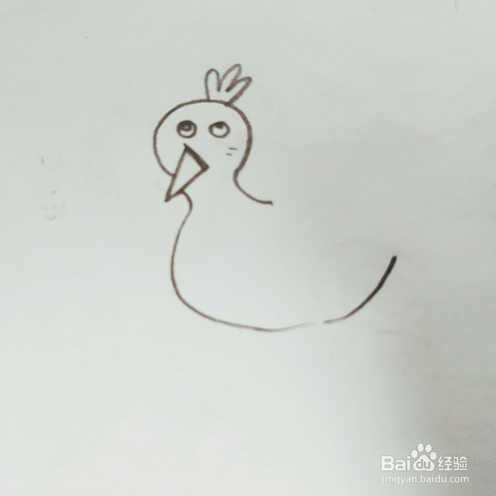 我们如何来画一只卡通版孔雀简笔画呢