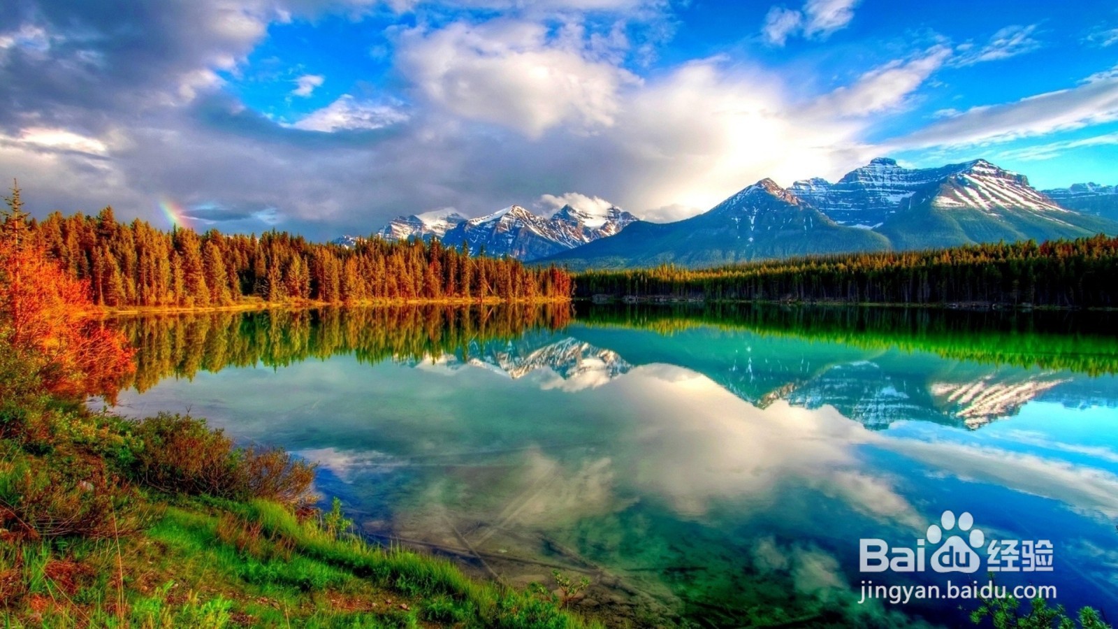 国际商务的发展过程