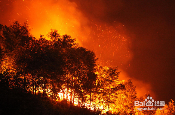 食堂招标文件怎么做?