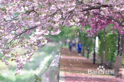 烦恼了，怎样自己安慰自己