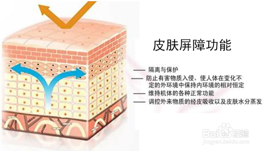 速学老人斑快速消除方法和老年斑的危害是什么？