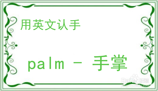 教你用英文认手
