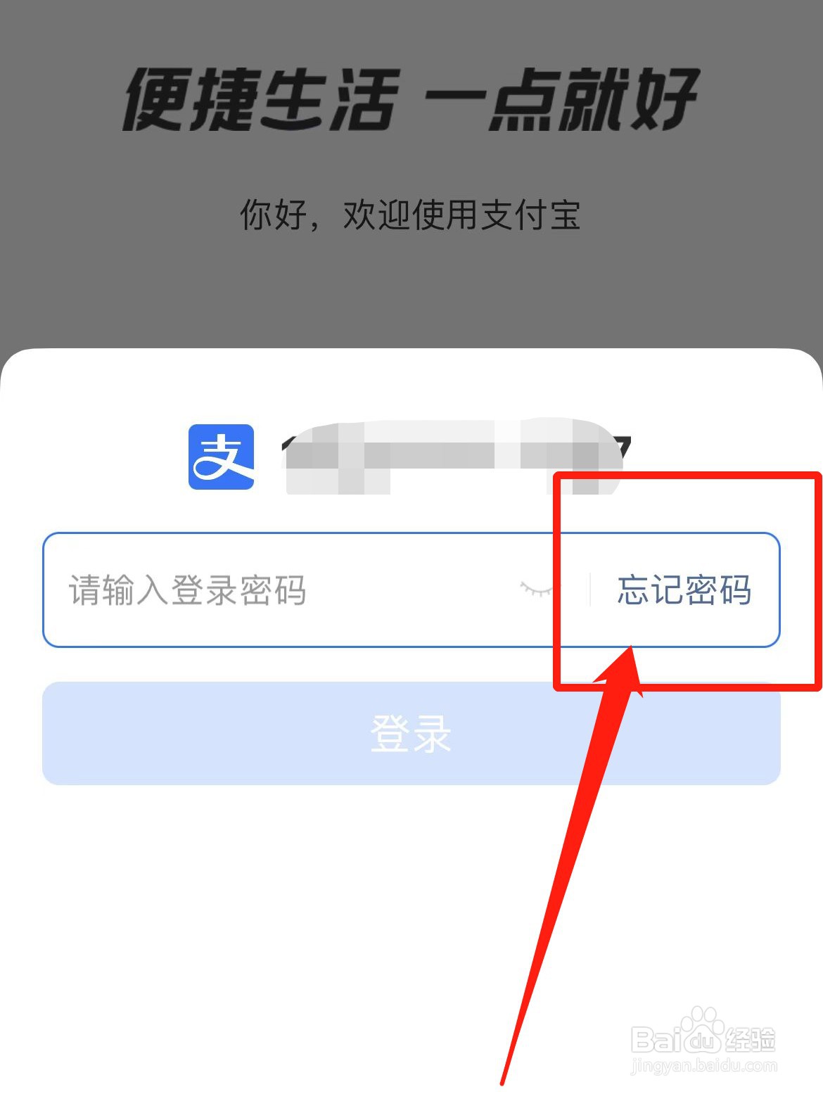 支付宝登录密码忘记了怎么重置