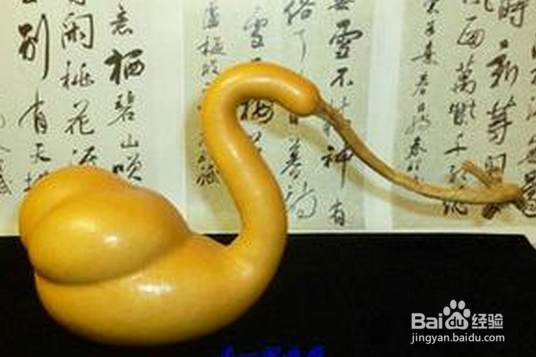 葫芦的各型分类