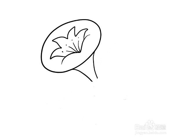 牵牛花简笔画 分步画法