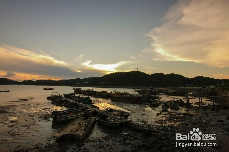 我国人工修复面积最大的红树林位于哪自然保护区