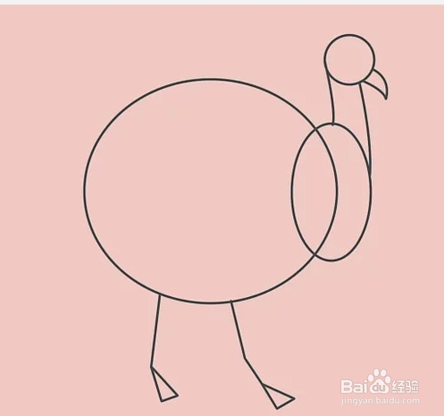 如何画一只火鸡