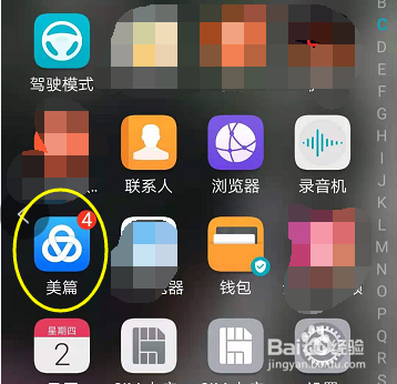 怎样查看美篇花瓣收入和支出的明细情况?