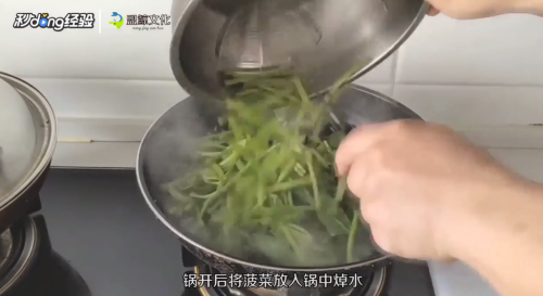 果仁菠菜的家常做法如何做