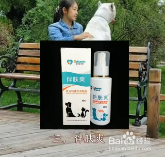 什么是家中养狗的必备物品?