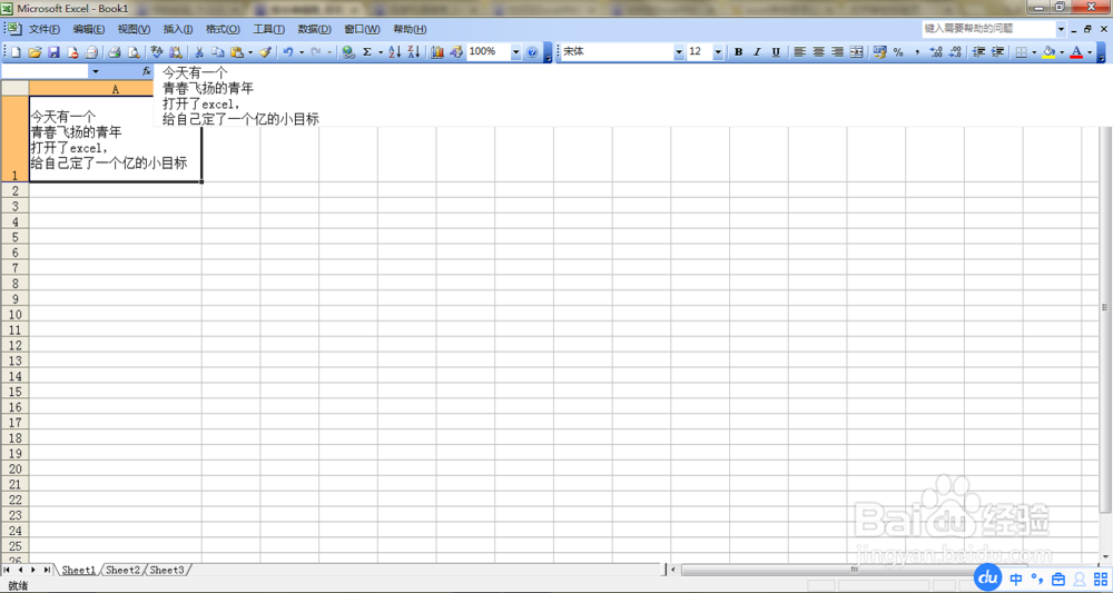 Excel表格里怎么输入两行文字