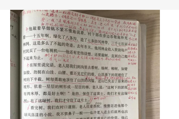 青山不老主要内容20字的有哪些