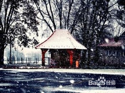 大四已保研同学如何规划好自己的大四生活？